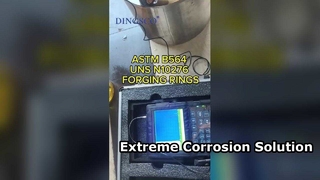 Hastelloy C276 Forged Rings Extreme Corrosion Resistance
