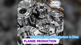 Monel 400 Forged Flange - Corrosion Resistant Nickel-Copper Alloy Flange 